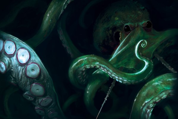 Kraken 13at