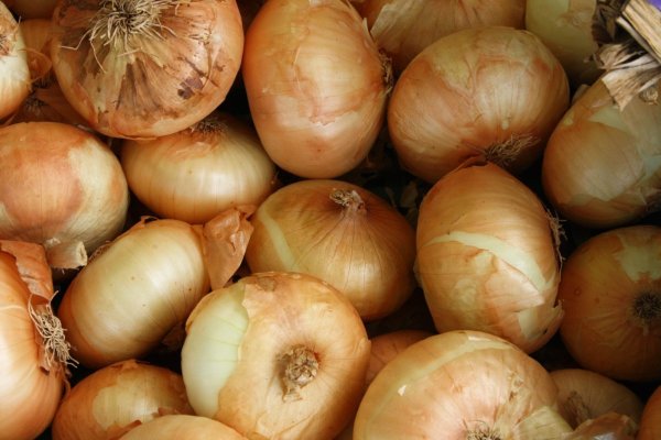 Сайты продаж наркотиков