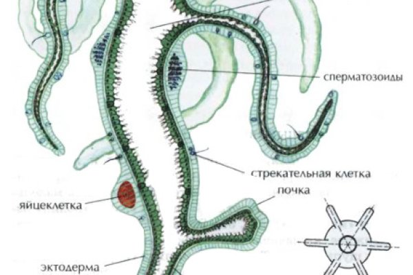 Кракен сайт что
