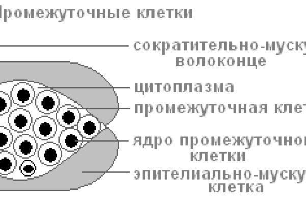 Кракен маркет даркент только через тор