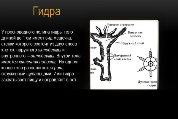 Адрес кракена