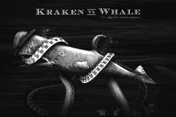 Kraken 17at