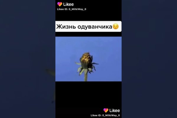 Что такое кракен в интернете