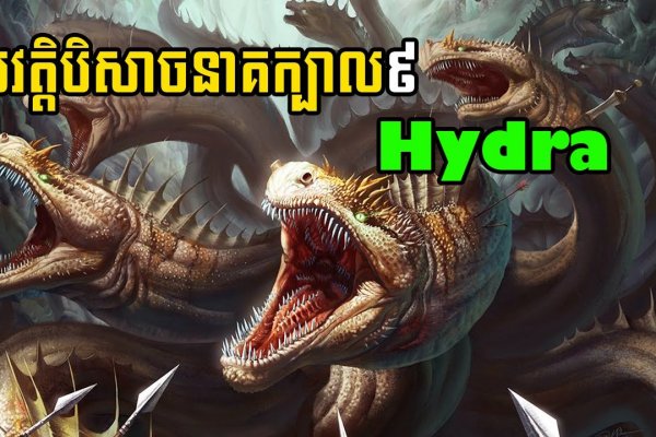Рабочий сайт kraken