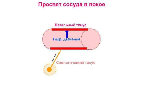 Кракен через браузер